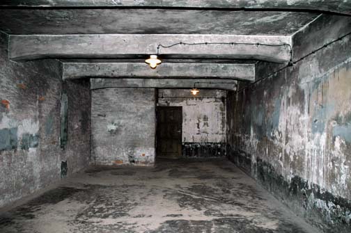 gas chambers during holocaust. Holocaust: